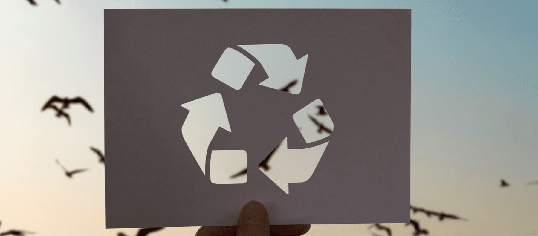 Réemploi, traçabilité et performance : la vie d’une balise connectée